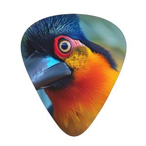 트로피컬 버드 오브 파라다이스 - 일렉트릭 기타, 베이스 기타를 위한 기타 추천 내추럴 필, 216 PCS