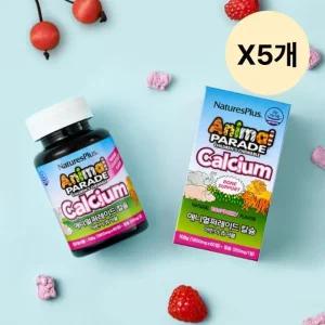 애니멀퍼레이드 츄어블 어린이 칼슘  60정 X5개
