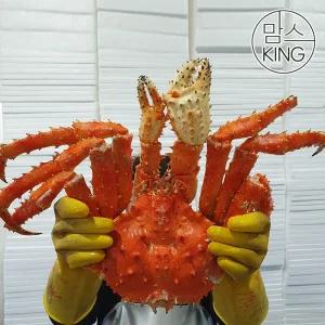 갤러리아 [맘스킹]정성씨푸드 동해직송 러시아 A급 킹크랩 자숙 3.5KG