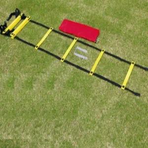 [콩심팥심]다우리 스텝 레더 축구 체육 순발력 훈련 사다리 21단 순발력훈련