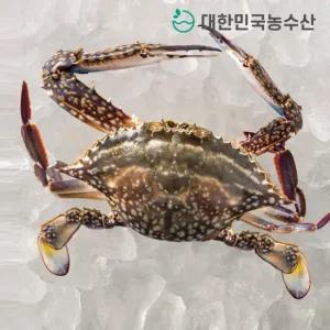 [대한민국농수산]산지직송 제철 활 숫꽃게 2kg 외 골라담기
