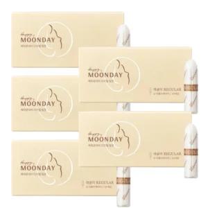 해피문데이 순면 디지털 탐폰 흡수력 레귤러 16p X5팩 BNS