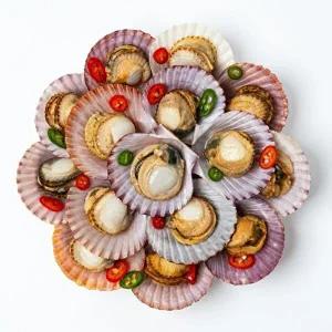 [고고쇼핑]통영직송 홍가리비 2kg(40미내외)