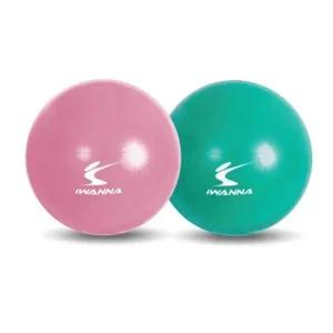 아이워너 웨이트볼 1kg (랜덤) 짐볼 스트레칭 운동