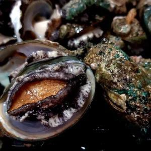 산더미 꼬마전복 1kg 35-60미내외