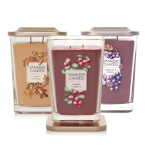 양키캔들 프리미엄 엘리베이션 라지자 (택1)