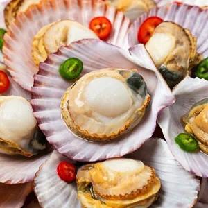 [고고쇼핑]통영직송 홍가리비 5kg(kg당20미내외)