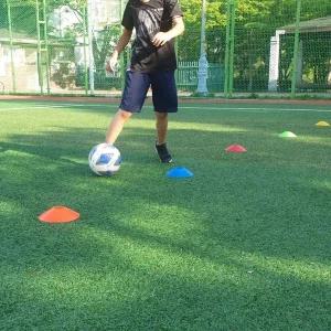 [골드스마일]칼라 접시콘 축구꼬깔 칼라콘 고깔콘 트레이닝