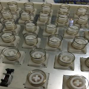 100개 팩 스테인리스 스틸 10g 스프링 토프레 정전식 키보드호환  NIZ HHKB 리얼포스 노바터치