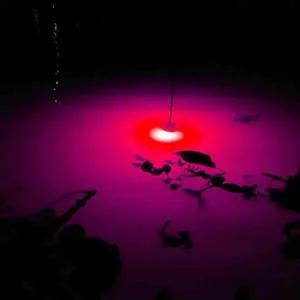 수중 LED 조명 물고기 유인 낚시 미끼 야외용