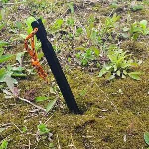 황동 못 캠핑 텐트 야외 1p 단조 텐트핀 메탈 고정핀