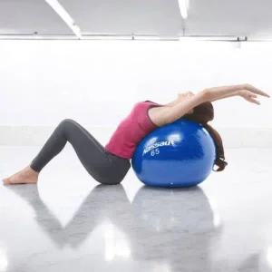 필라테스볼 낫소 짐볼 65cm 풋에어펌프 세트