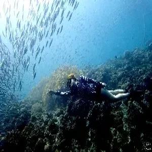 [부산출발] 사이판 6일 #PIC #성인2명+아동2명 가족팩 #액티비티천국 #슈페리어 #골드패스 #레이트체크아웃 #자유여행 #공항픽드랍