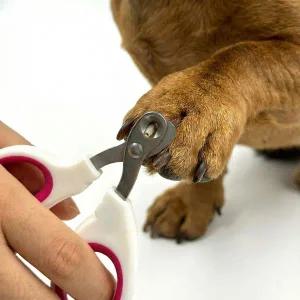 [골드스마일]스테인리스 고양이 발톱깎이