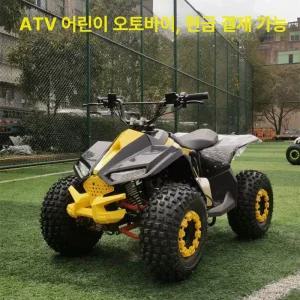 125cc 미니 ATV 관광지 쿼드 가솔린 사륜