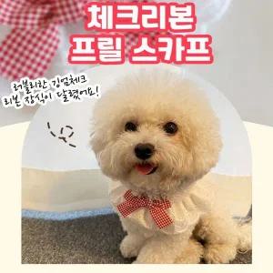 [골드스마일]반려동물 강아지 6컬러 체크리본 프릴스카프 타이