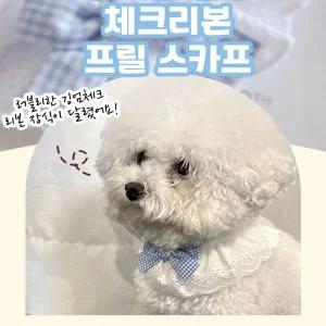 [골드스마일]반려동물 강아지 블루 체크리본 프릴타이 스카프