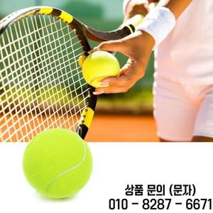 고탄력 테니스 전문 훈련 게임 공 야외 개 물기 체이스 및 챔프 63mm 10