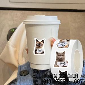 500개/세트 고양이 감사 스티커 접착식 노트북 데칼 DIY 스크랩북킹 전화기 수하물 스케이트보드