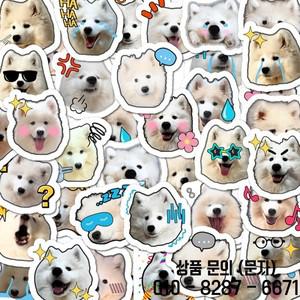 40 Pcs 귀여운 Samoyed 강아지 meme 낙서 스티커 스케이트 보드 가방 기타 주전자 데코 파티 호의 선물 14