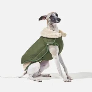 펫띵 3단 변신 패딩 1호 강아지겨울옷 강아지 의류/악세서리