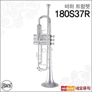 바하 180S37R 트럼펫 /Bach Stradivarius Bb 실버/바흐