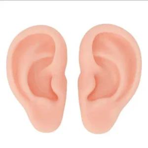 키밍 실리콘 귀모형 양쪽 세트 교육용 귀걸이전시