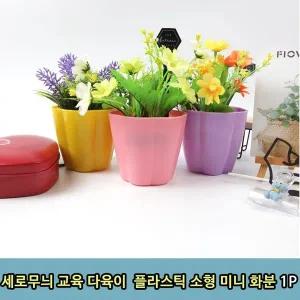 T1 세로 다육이 플라스틱 미니 화분 받침 1P