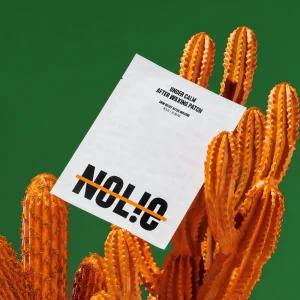 노우라이 붙이는 비건 브라질리언 진정 왁싱 패치 5매입