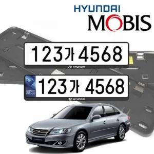 그랜저tg 번호판가드 테두리 프레임