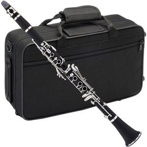 클라리넷 배우기 입문용 초보자 연습 도금 튜브 동호회 보니 취미 b플랫 교육용