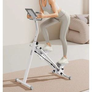 계단운동기 가정용 천국의계단 유산소 스테퍼 스텝업