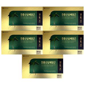 종근당건강 천종산삼배양근 20ml x 30병 5개 / 써클