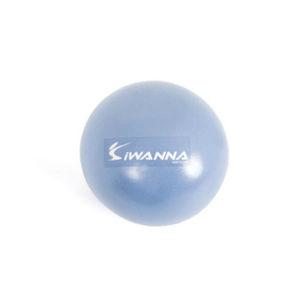 아이워너 미니짐볼 25cm 스트레칭 공운동 펌프포함