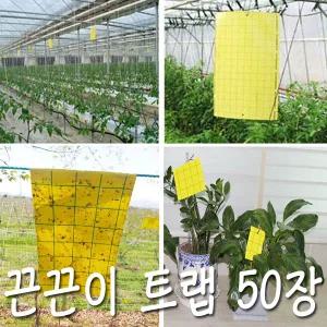 국산 노란끈끈이트랩 해충 퇴치 15X 25  50장 양면 하우스 뿌리파리트랩 총채벌레 하루살이 날파리 초파리 나방