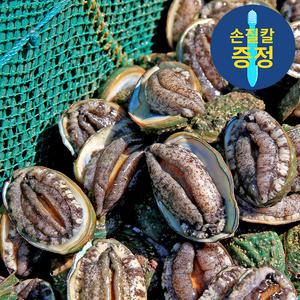 큰전복 9-10미 1kg (9-10마리)