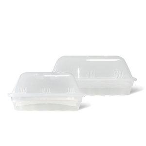 마이플랜트 새싹재배기 2종 친환경 무공해 수경재배 새싹보리 채소 키우기