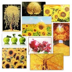 풍수 인테리어 벽걸이 그림 사진 액자 소품 금전운 재물운 해바라기 청사과 액자 소품