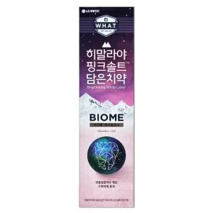 엘지 히말라야 핑크솔트 담은 치약 바이옴 100g X 1개