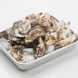 5kg 일반석화(찜/구이) 양식장 일반석화 각굴 1인~2인