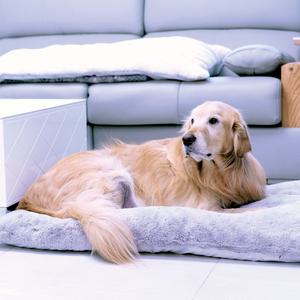 강냥이 강아지 진돗개 리트리버 대형 쿠션 사각 방석 반려견 대형견