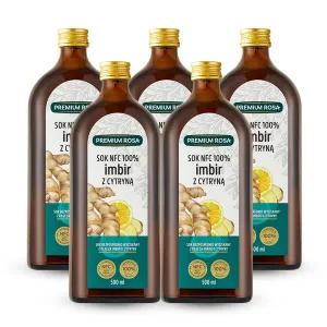 [데일리원]프리미엄로사 생강 레몬 원액 100% 건강즙 500ml 5병