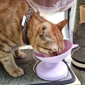 나마스펫 파스텔 고양이 밥그릇 강아지 물그릇 애견 식기 1구
