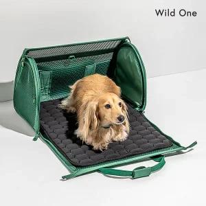 [와일드원] 강아지 여행용 캐리어 기내용 침대 겸용 고양이 반려견 애견 이동가방 이동장