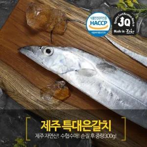 제주 은갈치 특대사이즈 300g*6마리분량(총 24토막)