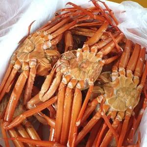 [st푸른농원][경북영덕]자숙(찜) 영덕홍게_8kg 24~32미_작아요(다리수율 60-70%)