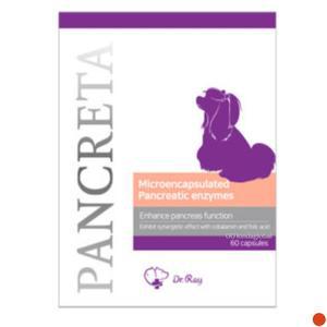 닥터레이 강아지 고양이  판크레타 소화효소제