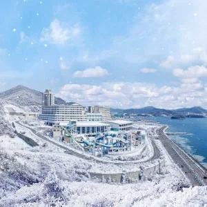 (대기예약) 디오션리조트 호텔&콘도 12~1월 룸온리