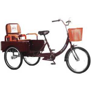 특수차 부모님 삼륜 카트 자전거 성인용 노인용 트레일