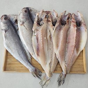 국내산 반건조 민어 4미